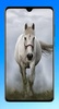 Horse Wallpaper 4K screenshot 9