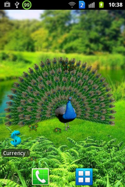 Butterfly Peacock - Preview 10