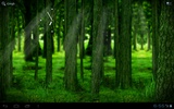 RealDepth Forest Free Live Wallpaper screenshot 2