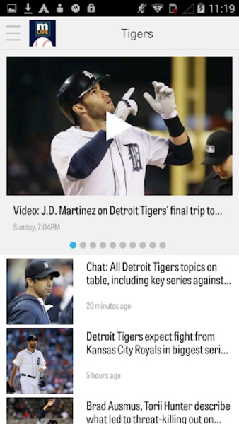 Tigers - Preview 3
