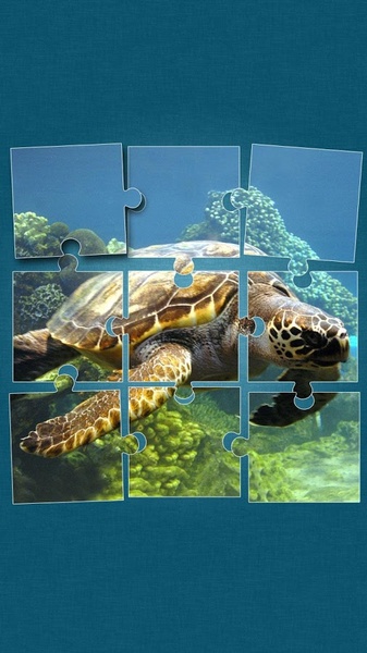 Under the Sea Jigsaw Puzzles - Preview 5