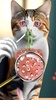 Cat ASMR Doctor Salon Games screenshot 1