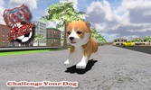 My Cute Pet Dog Puppy Jack Sim screenshot 12