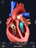 Heart Anatomy Pro. screenshot 4