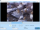 Audio Video Cutter Joiner Suite screenshot 2