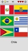 Flags of All World Continents screenshot 7