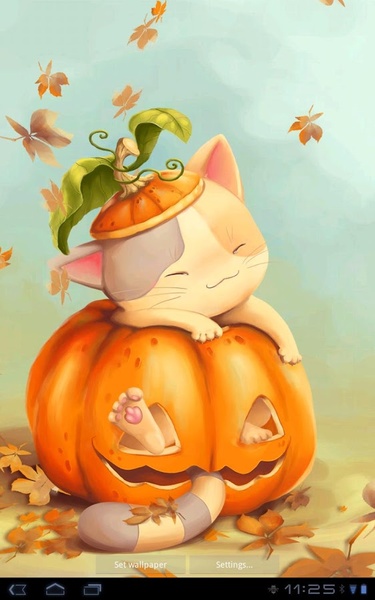 Pumpkin Kitten Live Wallpaper Free - Preview 2