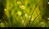 Free Colorful Summer Meadow screenshot 3