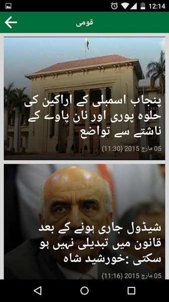 Daily Pakistan - Preview 3