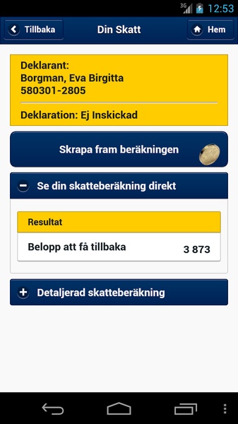 Skatteverket - Preview 5