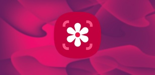 Immagine in evidenza di Samsung Photo Editor