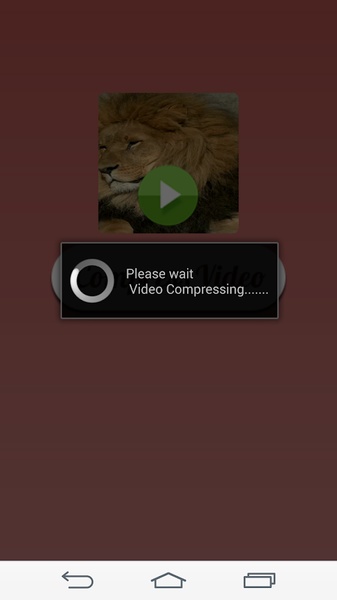 Video Compressor - Preview 1