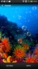 Coral Reef Live Wallpaper screenshot 3