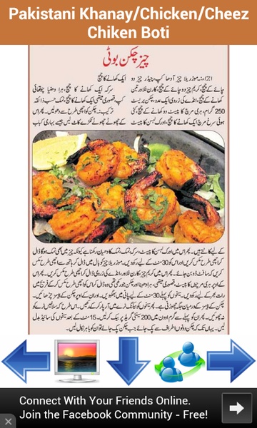 Pakistani Khanay - Preview 4