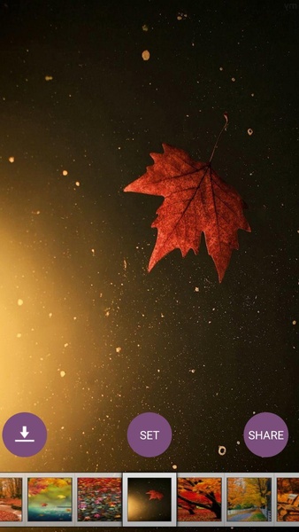 Autumn Wallpaper HD - Preview 4