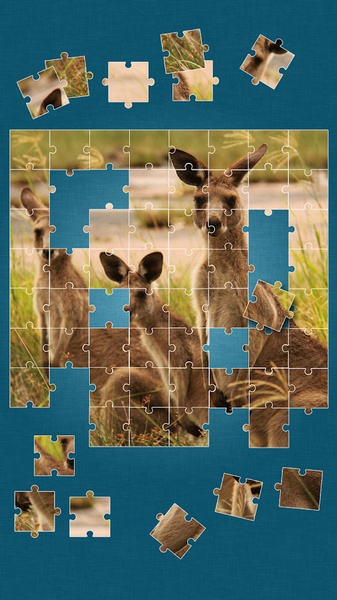 Animals Jigsaw Puzzle - Preview 12