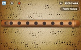 Flute Pro screenshot 3