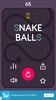 Snake Balls screenshot 13