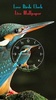 Love Birds Clock Live Wallpaper screenshot 2