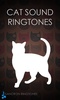 Cat Sound Ringtones screenshot 4