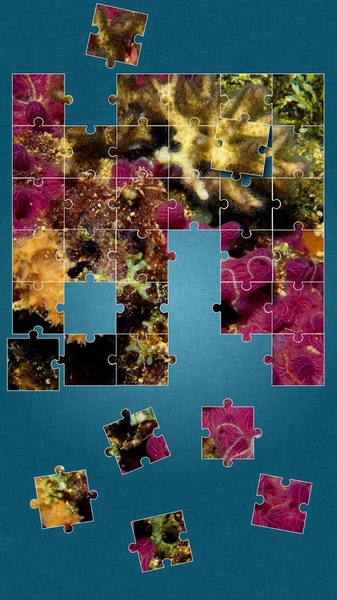 Under the Sea Jigsaw Puzzles - Preview 8