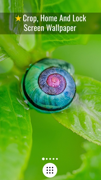 Macro Wallpapers - Preview 6