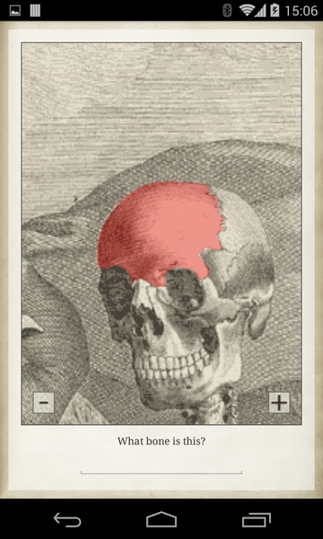 Bones - Preview 9