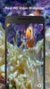 Real Fish Live Wallpaper screenshot 2