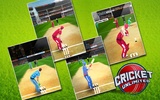 Cricket Unlimited screenshot 19