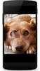 Dogs Jigsaw Puzzles for Kids screenshot 3