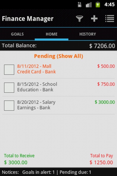 Finance Manager - Preview 7