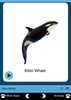 Sea Animals for Toddlers screenshot 2