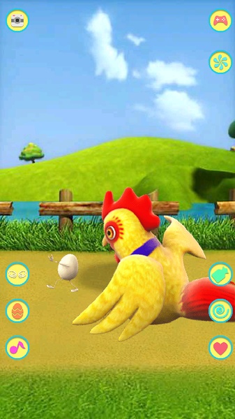 Talking Chicken - Preview 6
