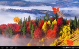 Autumn Landscape Live Wallpaper screenshot 5