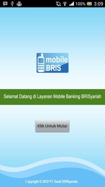 mobileBRIS - Preview 8