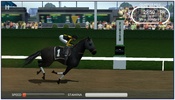 Photo Finish Horse Racing screenshot 5