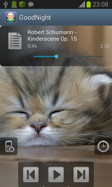 Good night, little Mozart - Preview 4