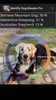 Identify Dog Breeds Pro screenshot 8