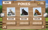 Pony Trails screenshot 2