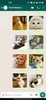 Cat Stickers | WAStickerApps screenshot 6