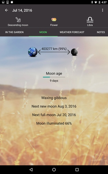Moon & Garden - Preview 2