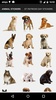 Real Animals Photo Stickers screenshot 2