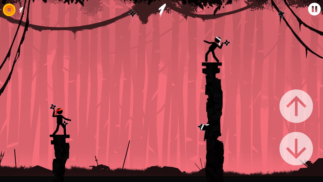 The Ninja - Preview 5
