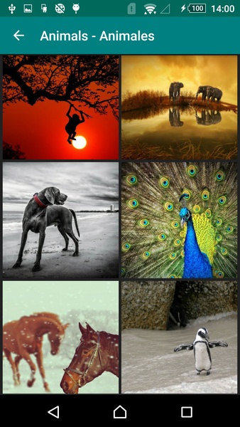 Free Wallpapers - Fondos De Pantalla HD - Preview 7
