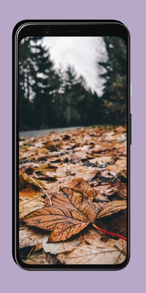 Bokeh Wallpapers - Preview 4
