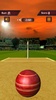 Flick Cricket 3D screenshot 3