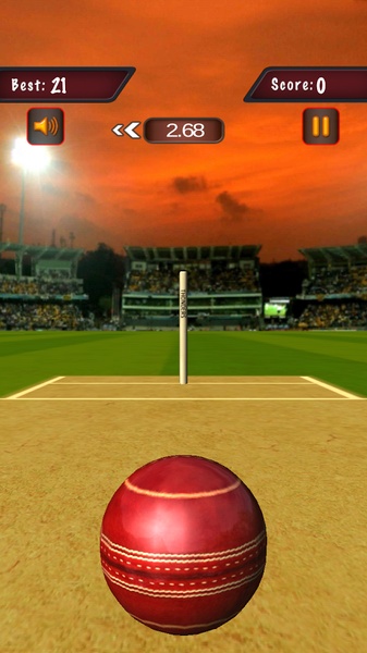 Flick Cricket 3D - Preview 3