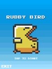 Rubby Bird screenshot 5