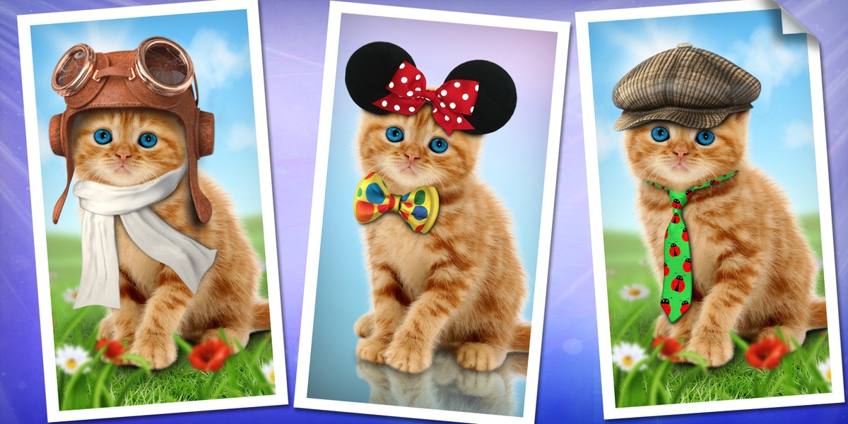 Purring Cats - Preview 6