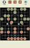 Chinese Chess screenshot 8